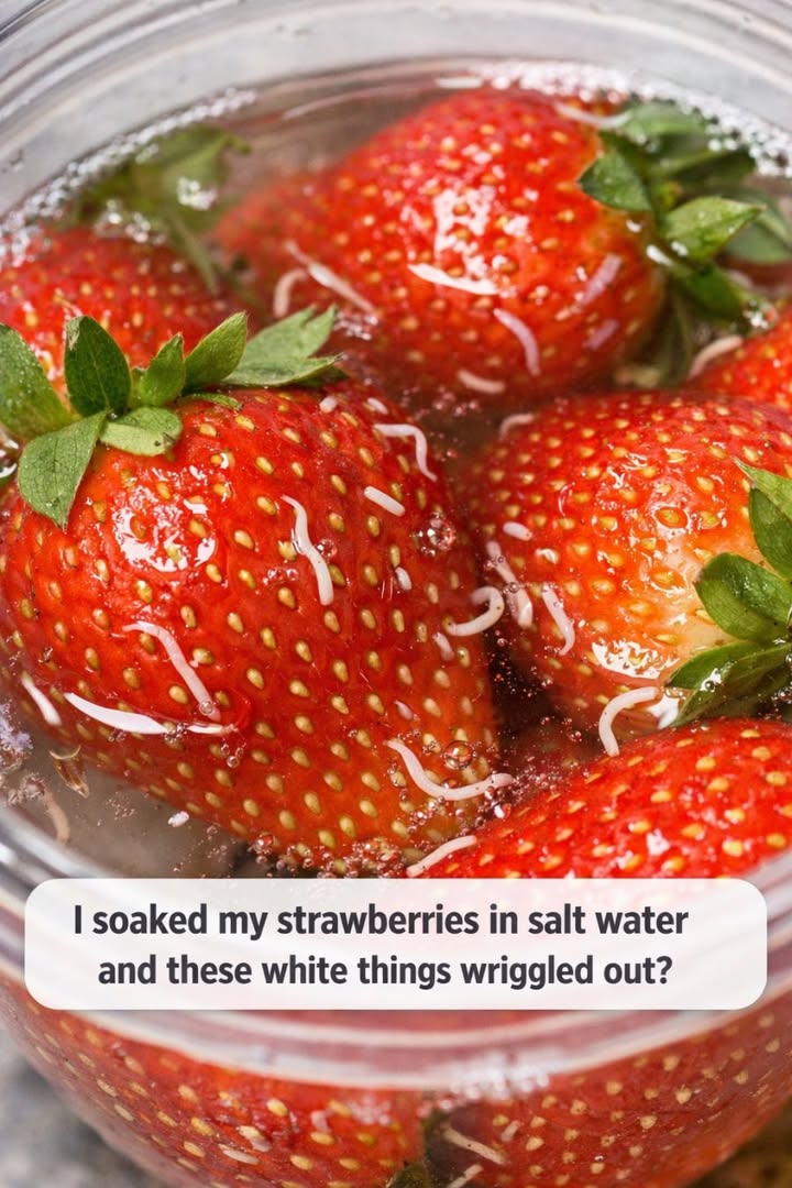 I soaked my strawberries in salt water and these white things wriggled out?